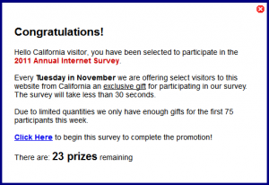 Internet survey scam