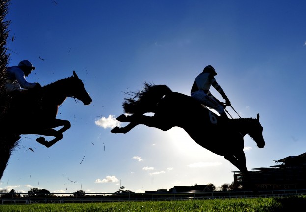 Popular horse‑racing site hit by “aggressive” cyber attack – passwords leaked