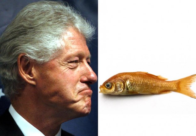 Pictures of fish‑kissing President might be key to secure, easy‑to‑remember passwords