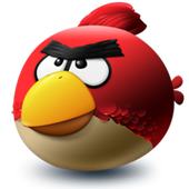 Angry Bird, upset that people are pirating his software