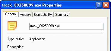 Executable file properties