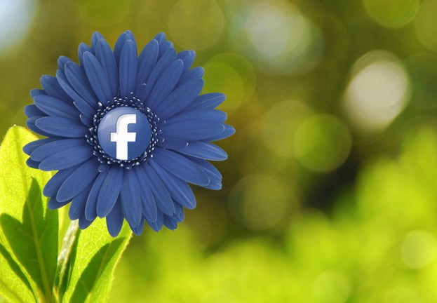 Conceptos básicos de privacidad en Facebook: tú decides