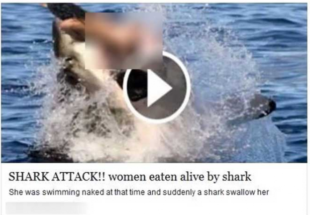 Facebook scams – ‘Naked woman eaten by shark’ is latest bait