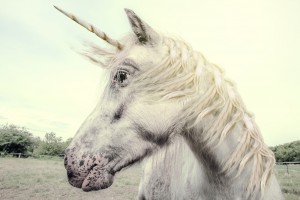 unicorn_bug_malware