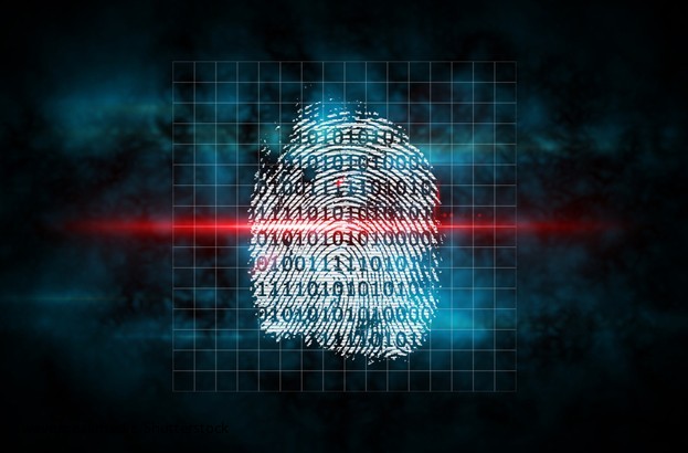 ‘Collaboration needed’ to combat low‑impact cybercrime