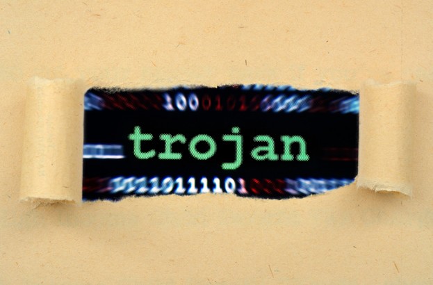 Gozi trojan coder free after being sentenced to time served