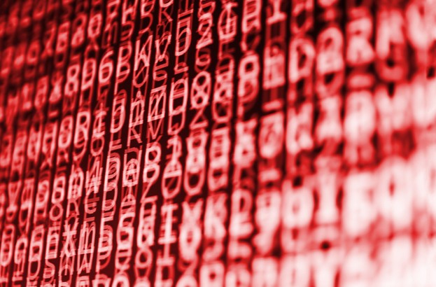 Identity theft accounts for ‘majority of data breaches’
