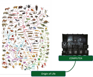 Image de gauche : L'arbre de vie, The open University. Image de droite: L’ordinateur ENIAC, le Smithsonian National Museum of American History (gracieuseté du professeur Adleman)