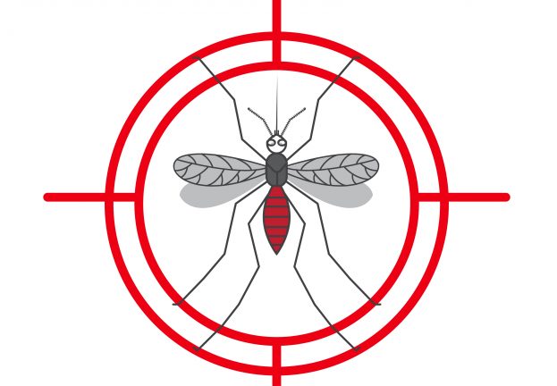 Turla Mosquito: A shift towards more generic tools