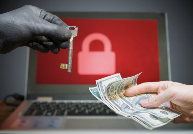 Cibercriminales obtuvieron cerca de medio millón de dólares con campaña de sextorsión