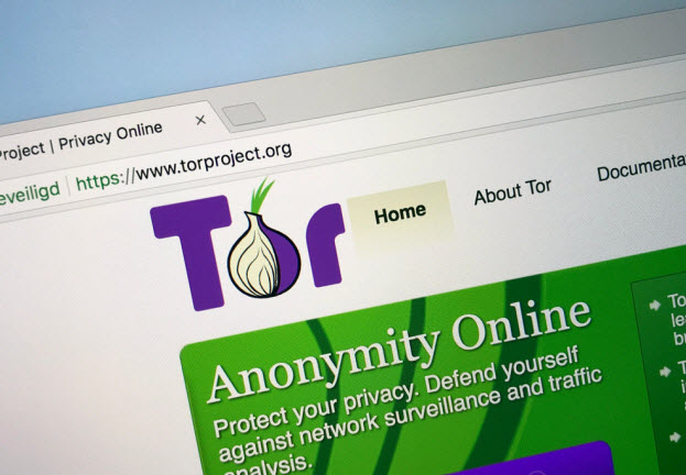 Tor: um navegador que protege sua privacidade na Internet