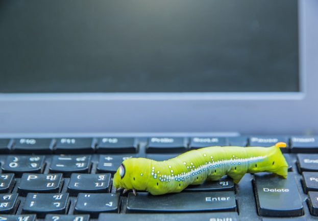 Phishing and Taxes: a dead CERT?