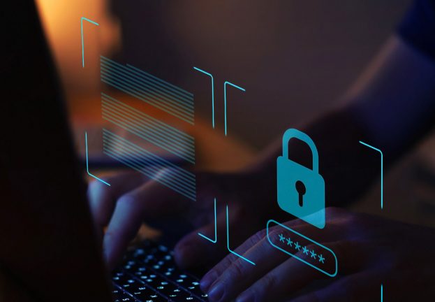 IDS, Firewall e Antívirus: qual solução de segurança devo instalar?