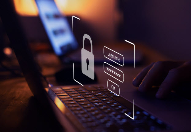 Phishing, exploits y botnets: ¿cómo pueden afectar a las empresas?